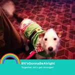 Barb Stead - @barb.stead - Instagram