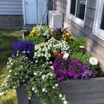 Barb Steen - Facebook