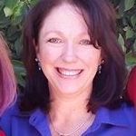 Barb Stein - @steinbarb - Instagram