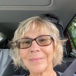 Bee Stein - @barbstein - Instagram
