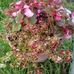 Barb Stenberg - Facebook