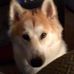 Barb Stephens - Facebook
