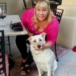 Barb Toth-Stern - @barb.stern - Instagram