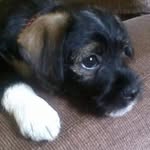 Barb Stevens - @barbstevens56 - Instagram