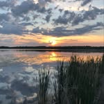 Barb Stevens - @barbstevens783 - Instagram