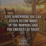 Barb Stiles - Facebook