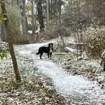 Barbara Schwartz Stoddard - @barb.stoddard - Instagram