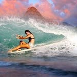 Barb Stone - @barbstone01 - Instagram