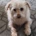 Barb Stone - Facebook