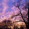 barb stone - @barb.stone - TikTok