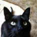 Barb Stonecipher - Facebook