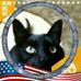 Barb Stonecipher - Facebook