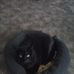 Barb Stonecipher - Facebook