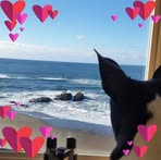 Barb Stratton - Facebook