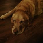 Barb Strom Parkes - @parkesbarb - Instagram