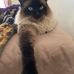 Barb Strommem - Facebook