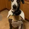 Barb Stuart - @barb.stuart - TikTok