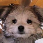 Barb Stuart Brown - @barbstuartbrown - Instagram