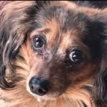 Barb Sutton - @besutton61 - Instagram