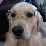 Barb Sutton - @lakehouse1732 - Instagram
