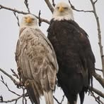 Barb Sutton - Facebook