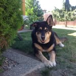 Barb Sutton - @bnsutton3711 - Instagram