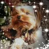 Barb Sutton - @user486369780 - TikTok
