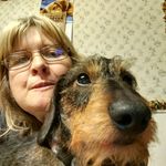 Barb Sweitzer - @bsweitzer64 - Instagram