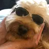 Barb swift - @barb.swift6 - TikTok