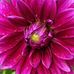Barbara Swift - Facebook