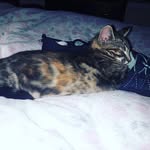 Barbara Swift - @barb_riley2020 - Instagram