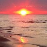 Barb Tabor - @barb.tabor - Instagram