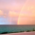 Barb Tabory - @taborybarb - Instagram