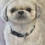 Barb Tanner - @barbtannerartist - Instagram