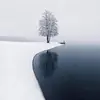 barbkulatanner - @barbkulatanner - TikTok