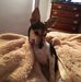 Barb Tasker - Facebook