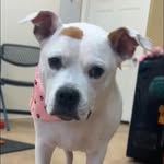 Barb Terry - @anemone0711 - Instagram