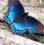 Barbara Tesch - Facebook