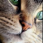 Barbara Thiessen - Facebook