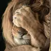barbthomas347 - @barbthomas347 - TikTok