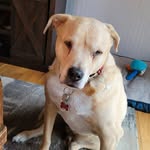 Barb Thompson - @barb.thompson.3150 - Instagram