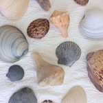 Barb Thompson - @barb.thompson.3990 - Instagram
