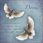 Barb Thompson - @dovesofwhite - Instagram