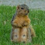 Barb Thornton - @thorntonb65 - Instagram