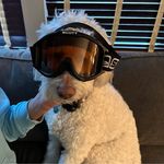 Barb Walters - @barb_walters - Instagram