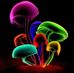 Barb Walters - Facebook
