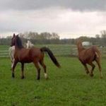 Barb Walters - @barbwalters61 - Instagram