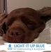 Barb Ward - Facebook