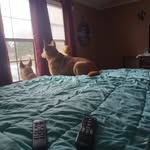 Barb Ward - @barbward289 - Instagram