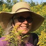 Barb Ward - @barb.ward3 - Instagram